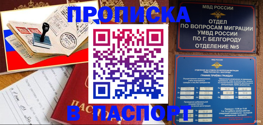 купить прописку в Чаплыгине